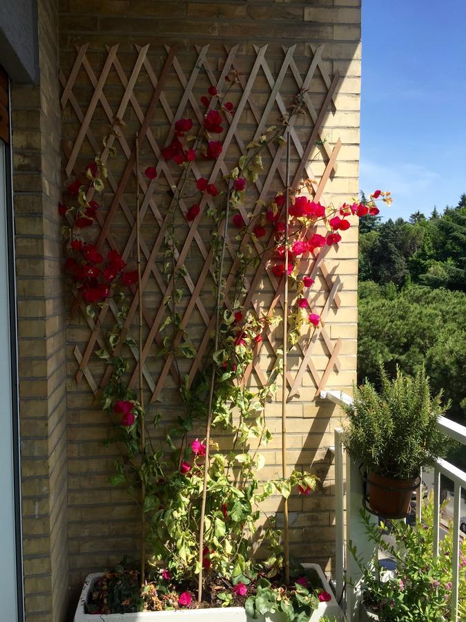 Happy Holiday In Rome B&B Zewnętrze zdjęcie