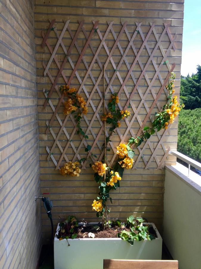 Happy Holiday In Rome B&B Zewnętrze zdjęcie
